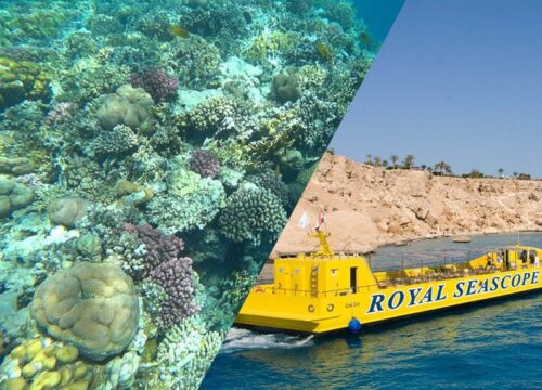 Batyskaf z Makadi i Soma Bay