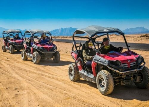 Safari Buggy – Marsa Alam