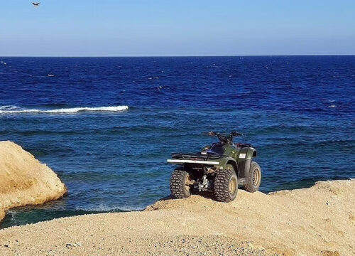 Motor Safari Marine w Marsa Alam